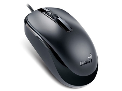 Genius DX-120 USB Black (31010105100)