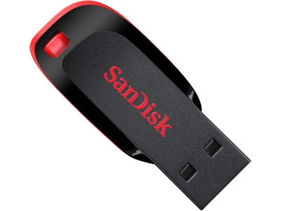 SanDisk 32 GB Cruzer Blade