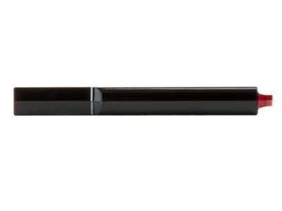 Transcend 32 GB JetFlash 310